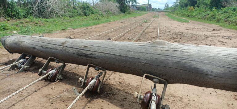 Fallen Electricity Poles. Photo Courtesy//Roro Media