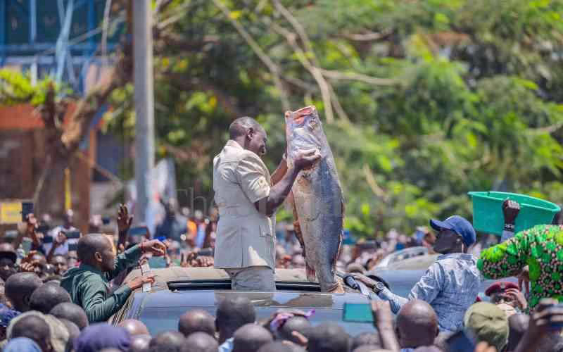 President Ruto tours Nyanza