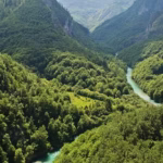 mountains, tara river, tara canyon, zabljak, mountain river, nature, montenegro