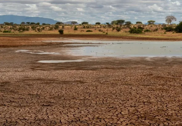 climate change