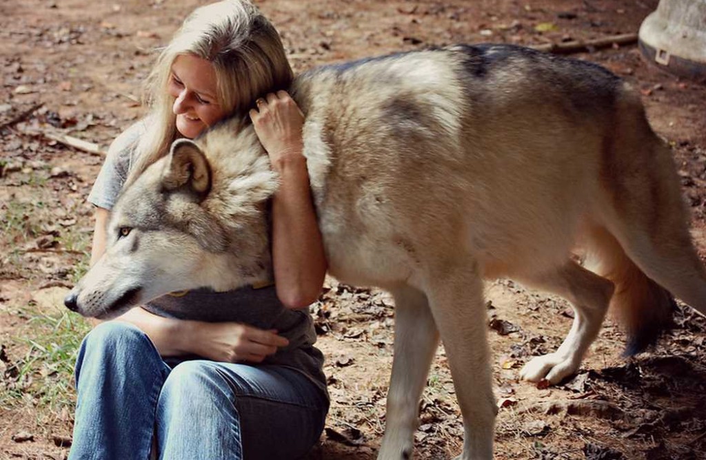 Lessons from Wolves: What Humanity Can Learn About Leadership, Loyalty, and Compassion 2 wolves and humans