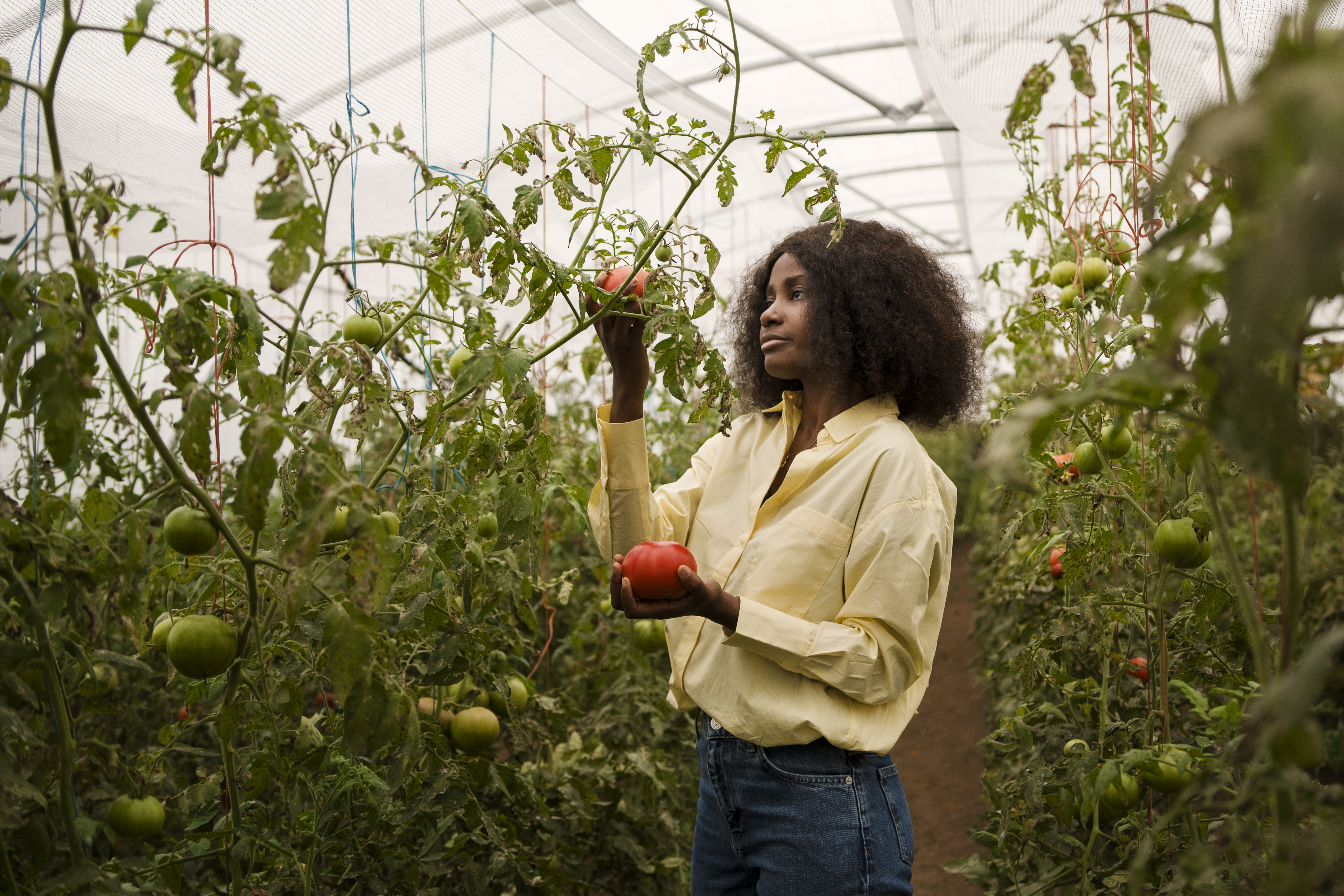 medium-shot-woman-holding-vegetables.jpg