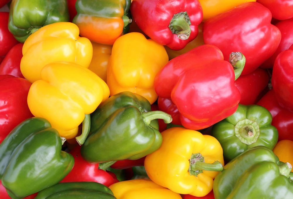 __opt__aboutcom__coeus__resources__content_migration__mnn__images__2018__09__colored_bell_peppers-4965f01bb20844bc9c8670ce14f7385b